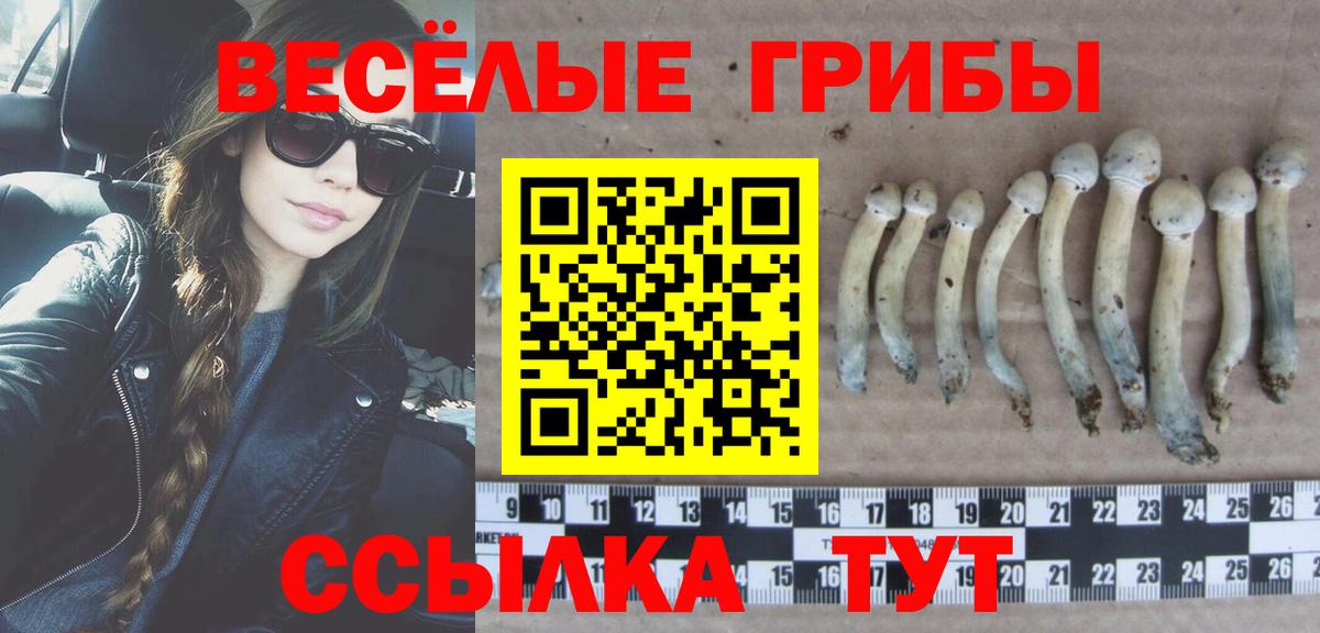 цены   Галлюциногенные грибы мухоморы  Вход с VPN  Псилоцибиновые грибы GOLDEN TEACHER  Чернушка 